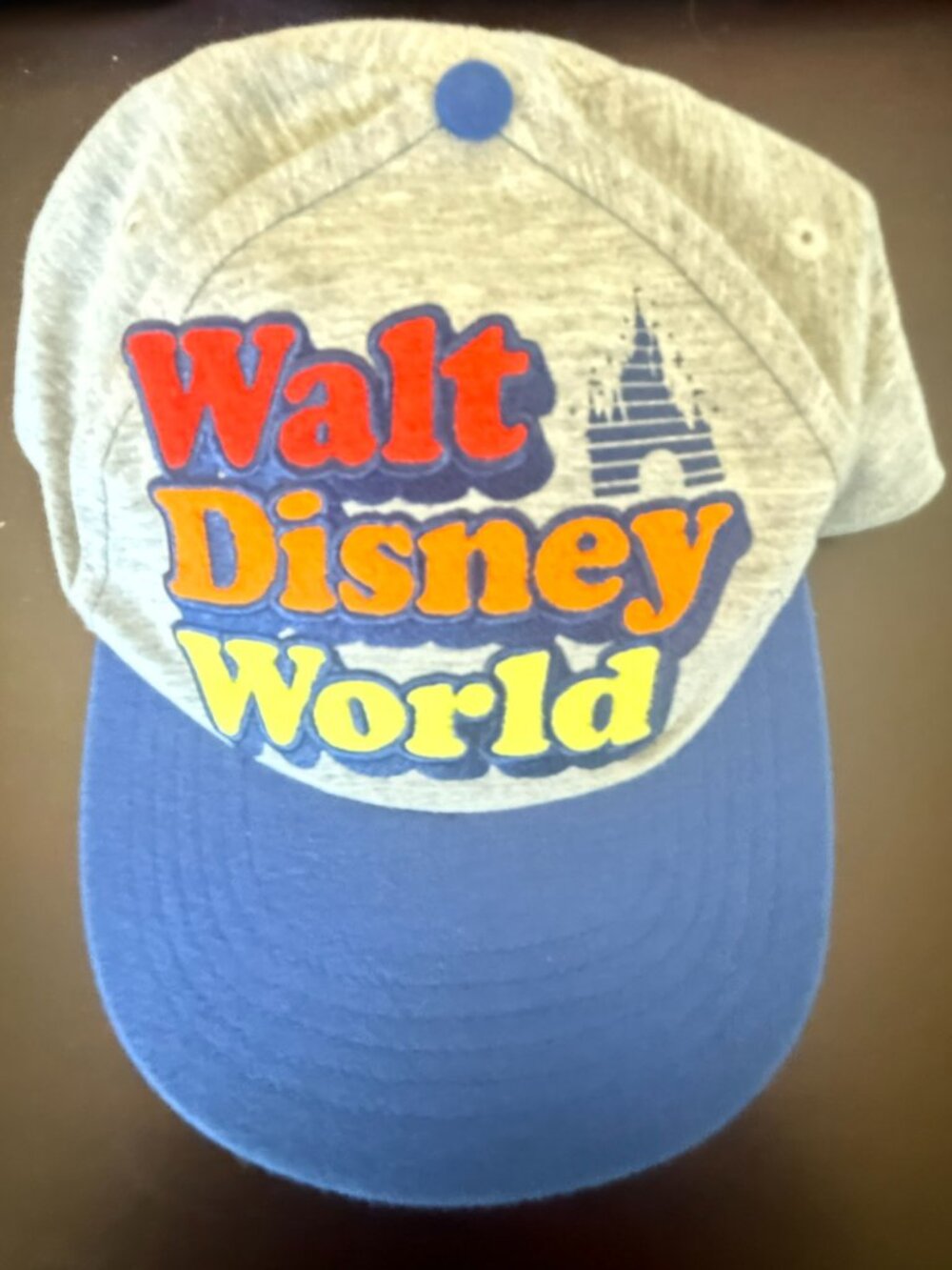Walt Disney World Retro 1971 Grey Flat Bill Hat Baseball Snapback Cap Adult NWT
